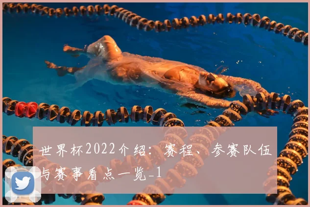 世界杯2022介绍：赛程、参赛队伍与赛事看点一览_1