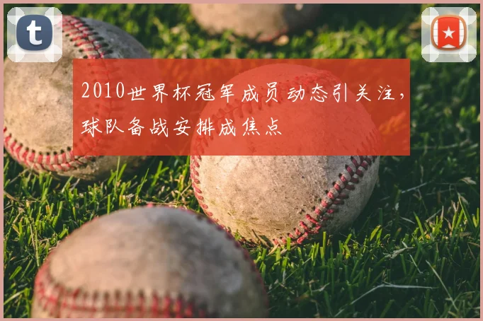 2010世界杯冠军成员动态引关注，球队备战安排成焦点